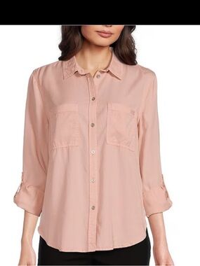 DKNY Pale Pink Button-Down Shirt